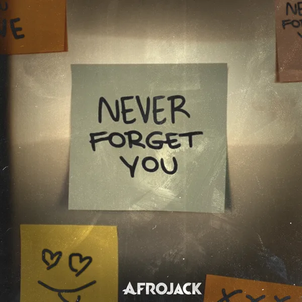 Cover art for Never Forget You — AFROJACK